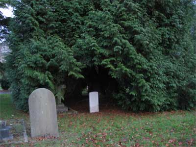 Albert Sepple's Grave Rear View copyright image by permission of Ian Nicholls 2008